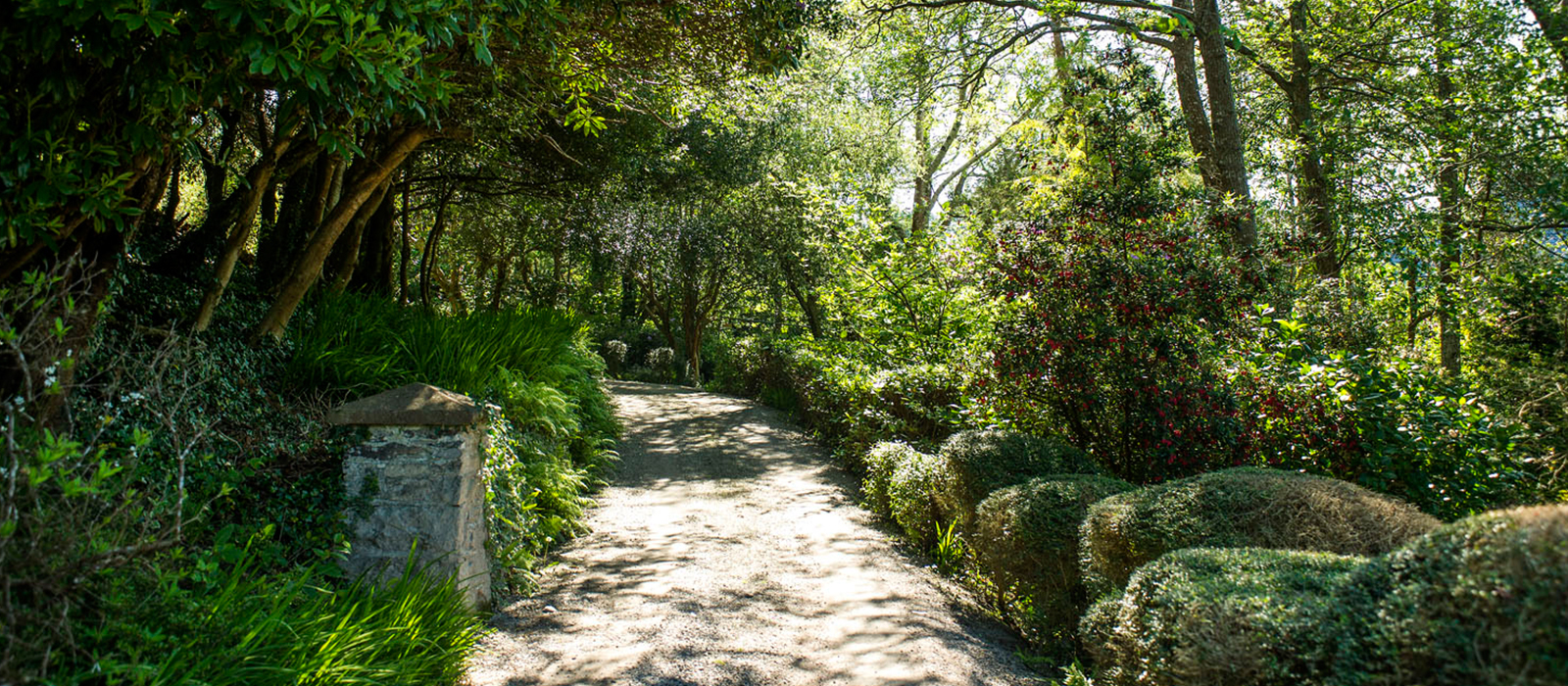 Carrig Country House