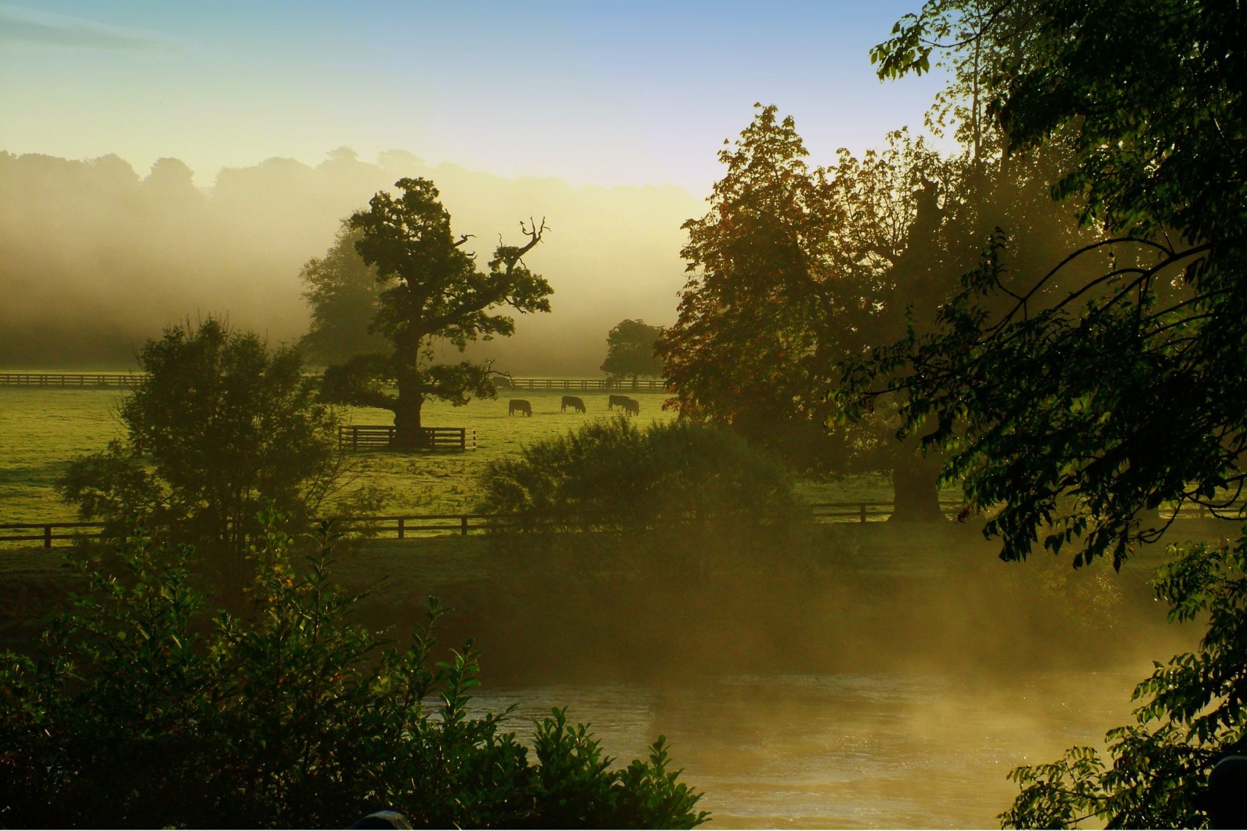 Mount Juliet Estate