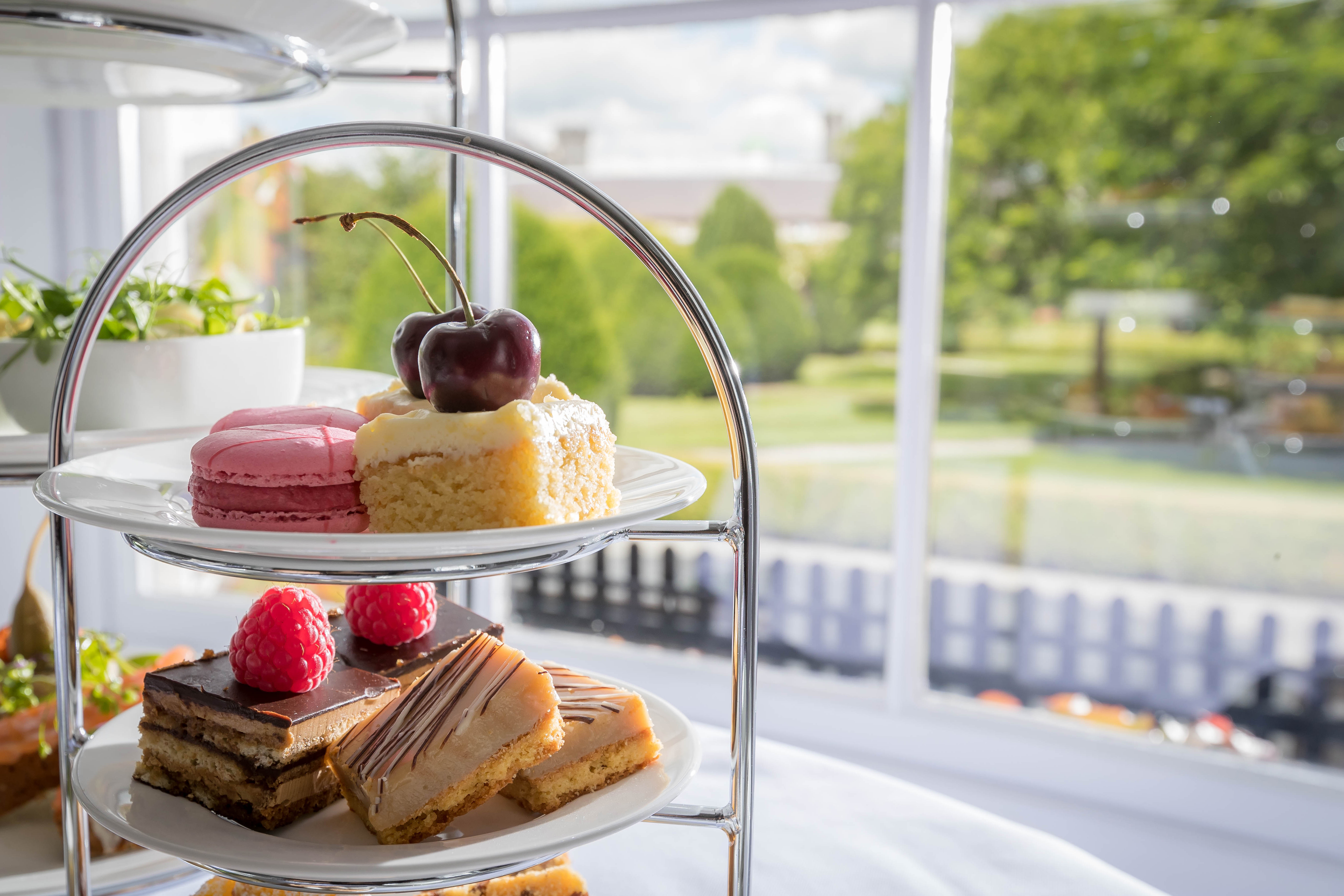 Yoga and Light Afternoon Tea