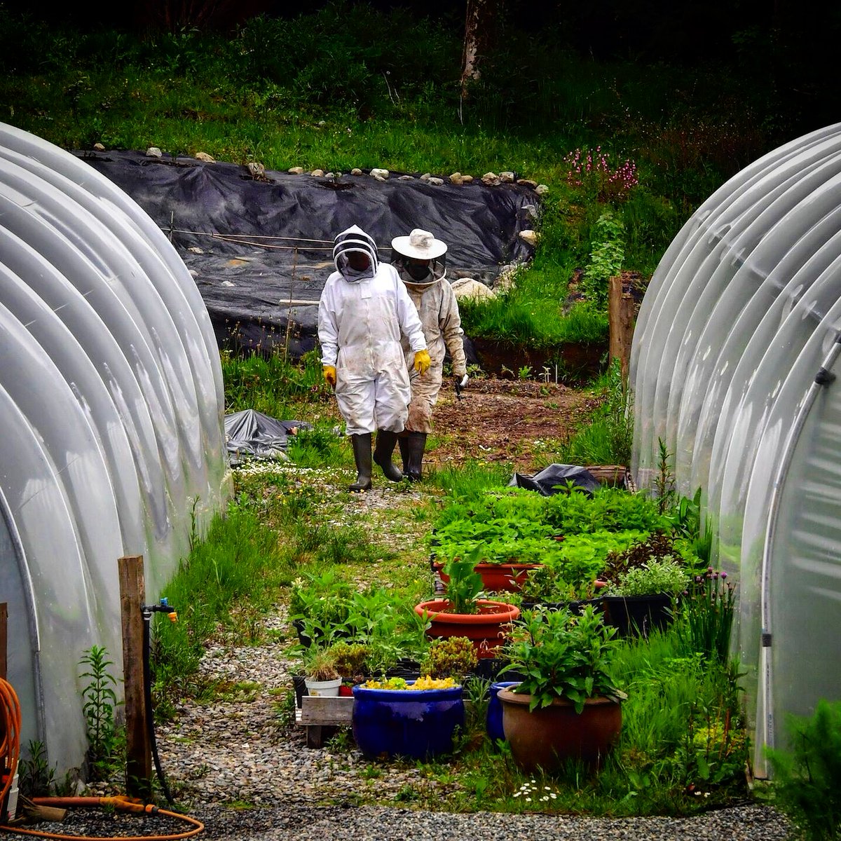 Belleek Castle Garden and Apiary Tour