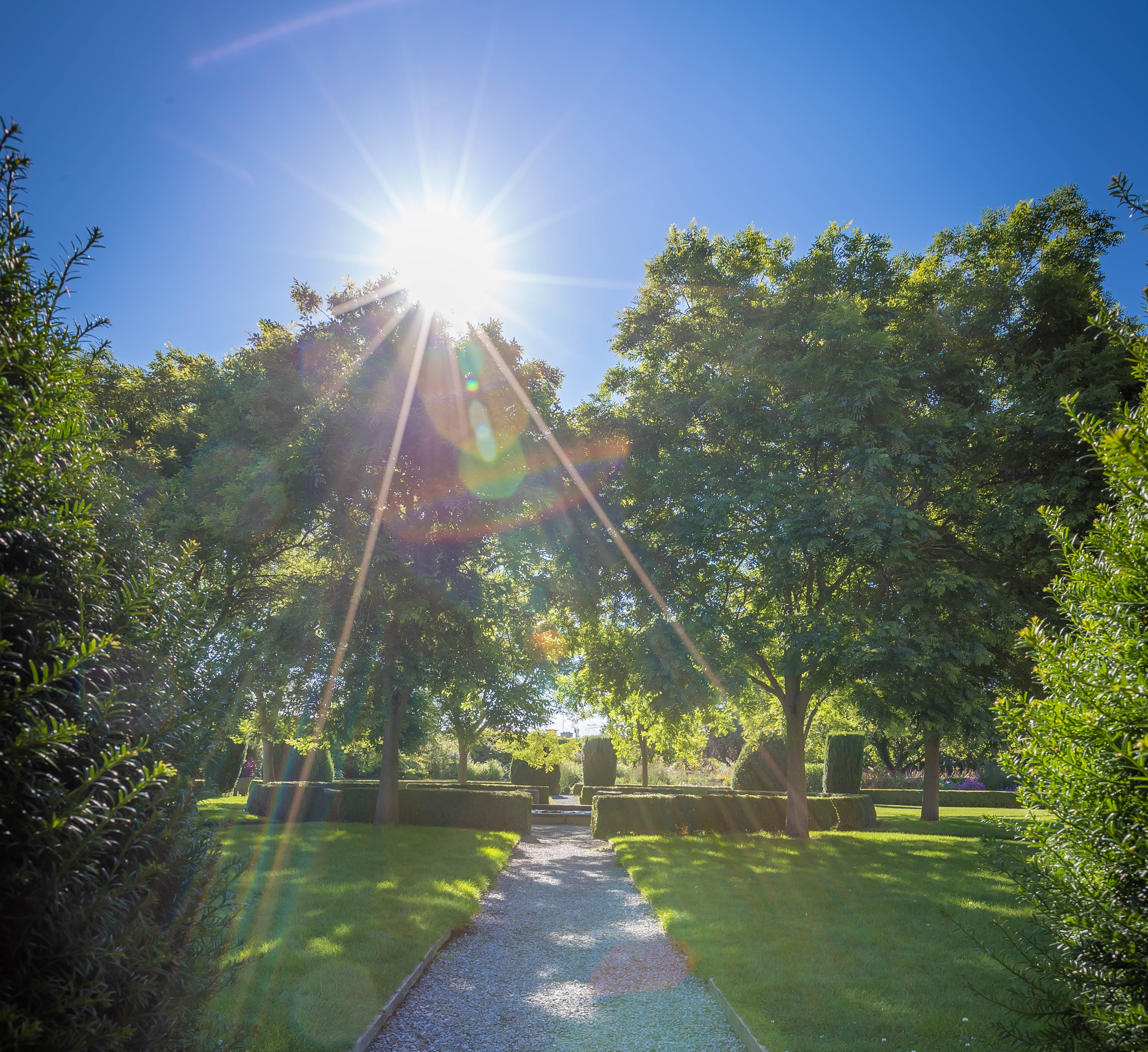 A Gentle Introduction to Mindfulness