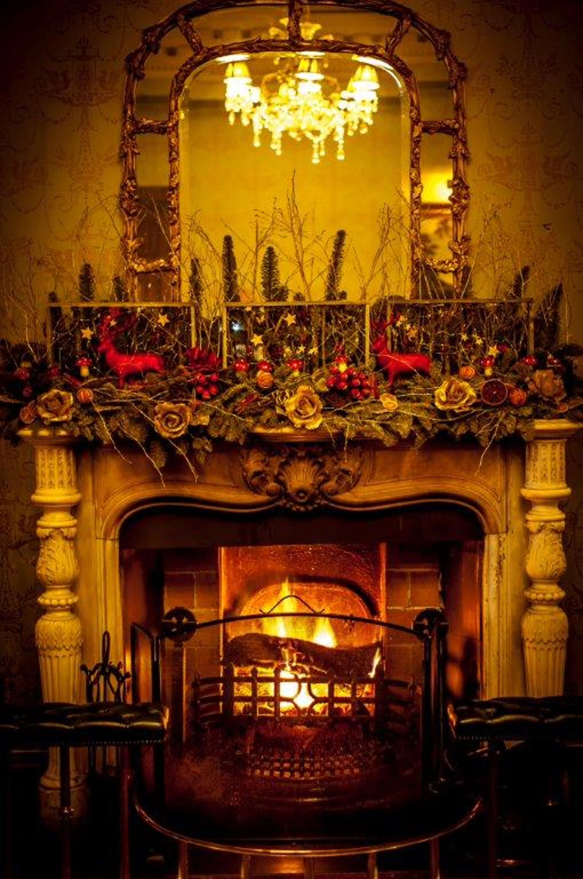 Festive Dining