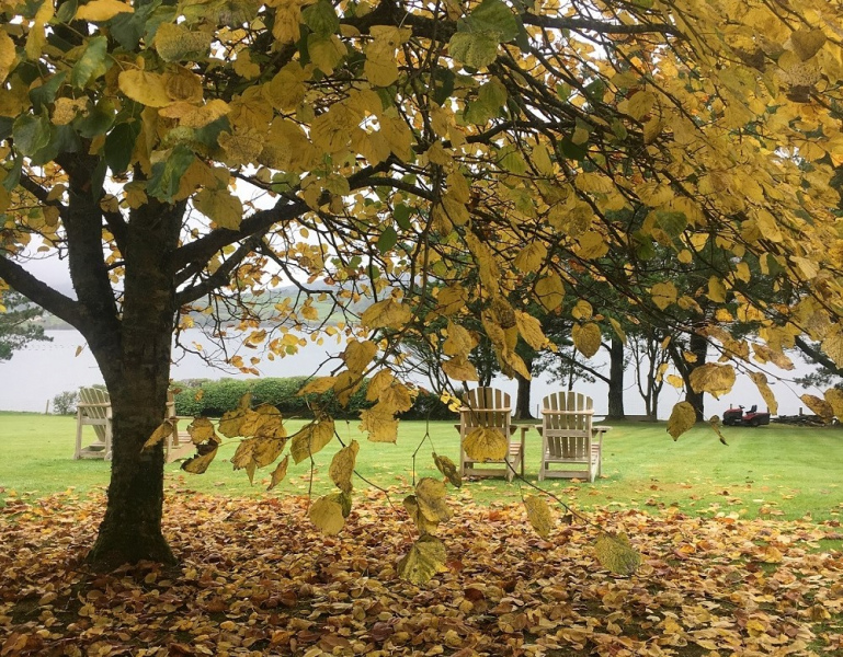 autumn at blairscove house