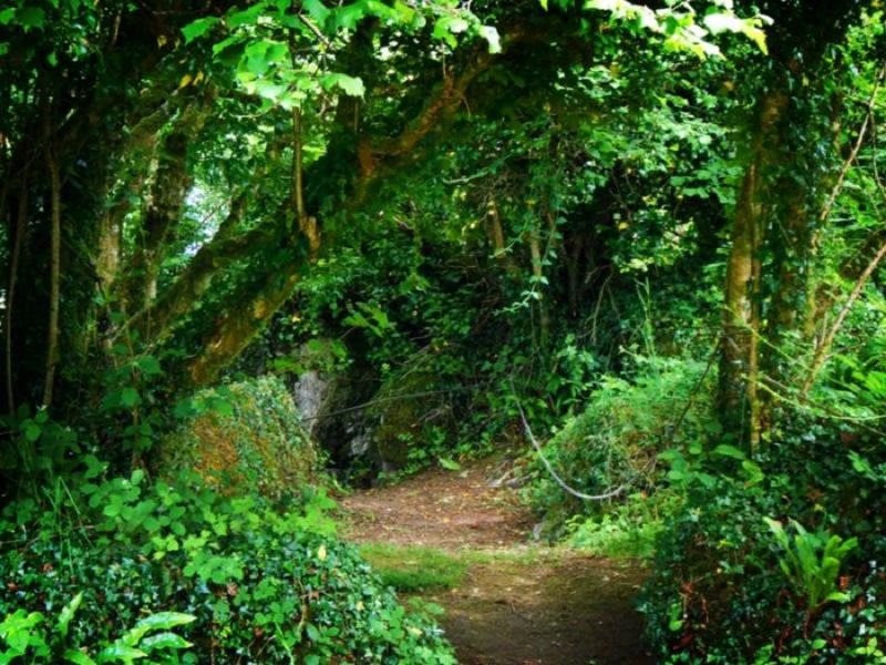 brigits_garden.jpg (Brigits Garden) brigits garden
