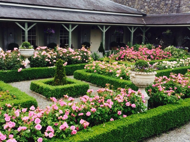 castle durrow rose garden