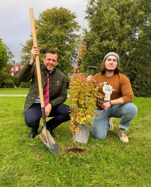hayfield manor partner with reforest nation main image