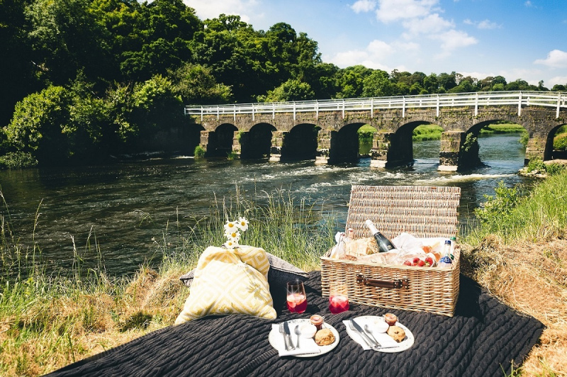 mount juliet picnic image