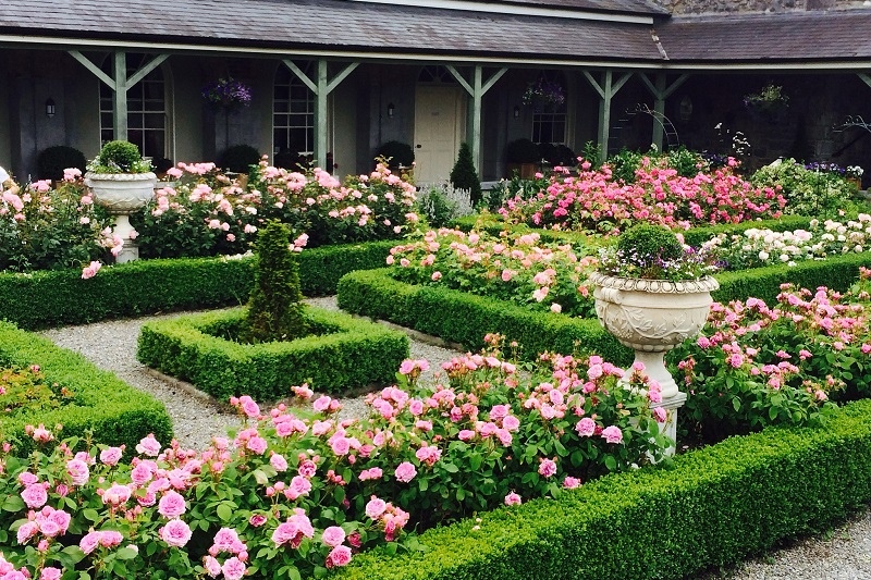 proposal blog castle durrow