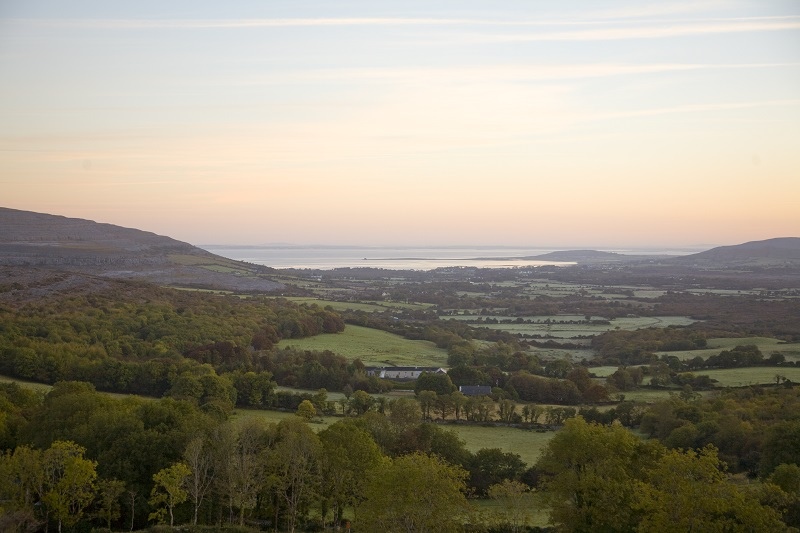 room with a view gregans