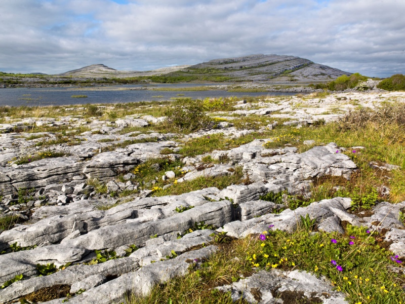 the burren