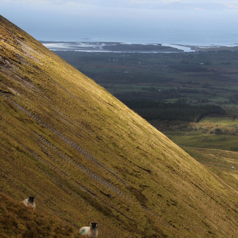 Benbulben