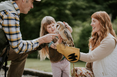 Dromoland Castle Family Hawk Walk with Dromoland School of Falconry