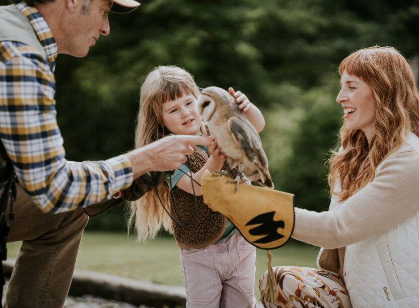 Falconry Dromoland Castle