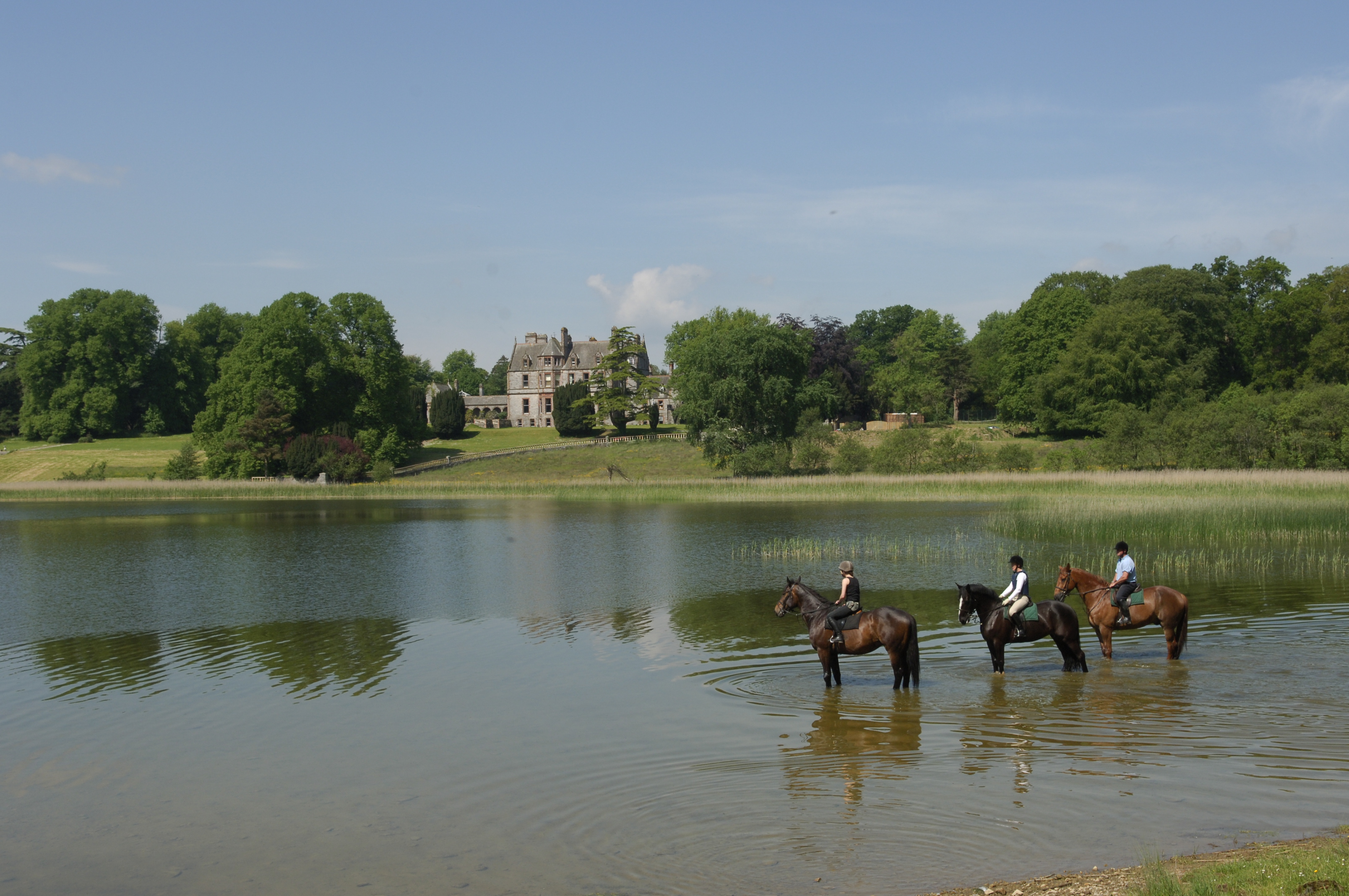 Csatle Leslie Iconic Castle with horses in lake